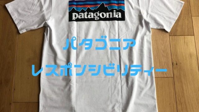 Patagonia パタゴニア Tシャツ 胸ポケットあり | 3239【白Sサイズ美品 